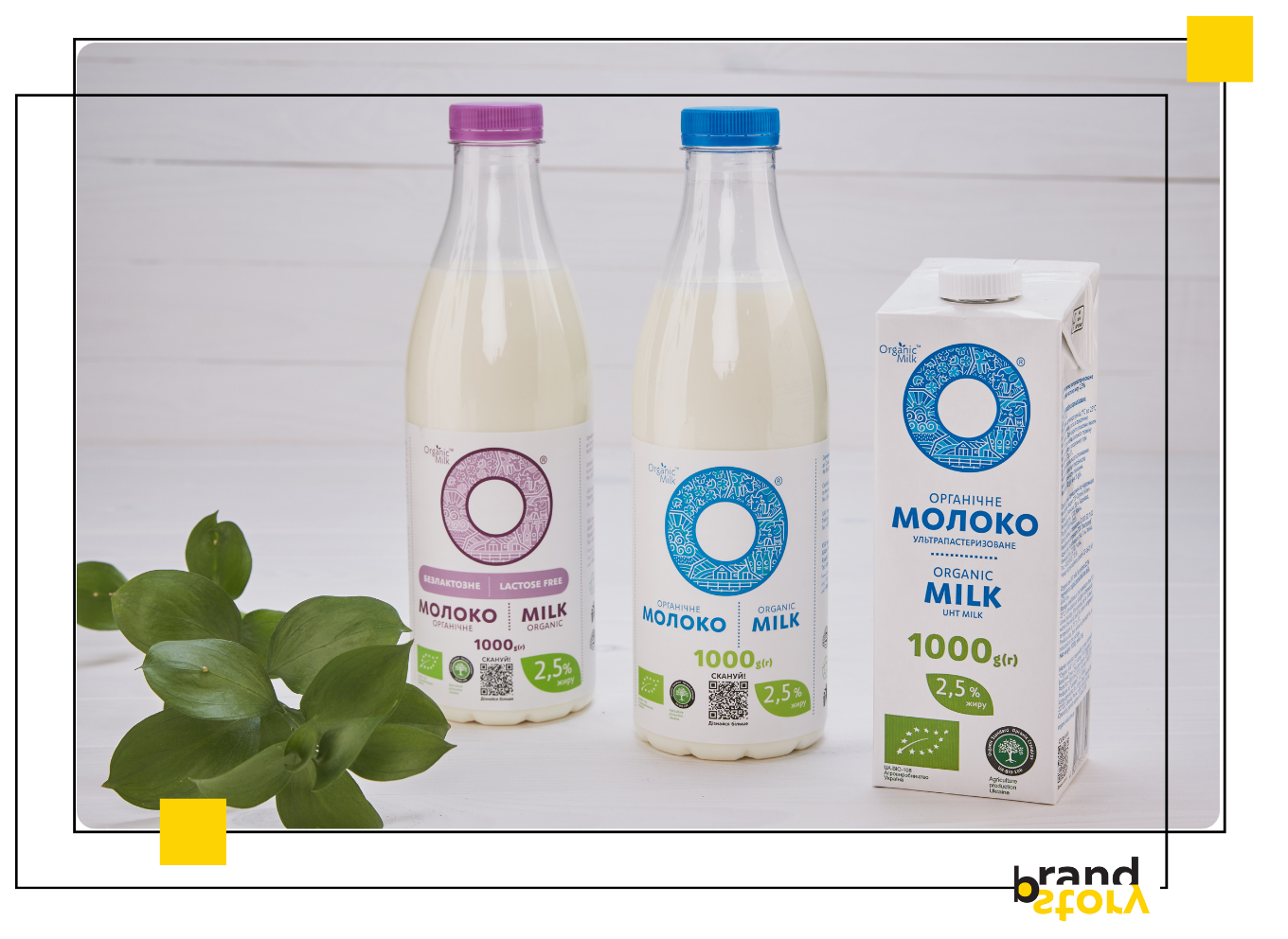 - Another challenge was the recognition of organic products on the market. It was difficult to tell consumers about what organic is, especially in the unfavorable economic climate in Ukraine. It turned out to be no less difficult to break into European markets with Ukrainian organic products, but we overcame these difficulties and successfully exported, - Olena adds.