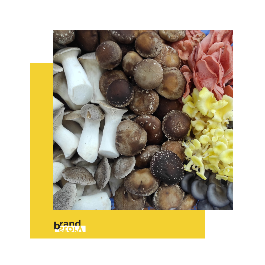 The entire production complies with international and Ukrainian organic standards and undergoes constant control and certification by the Organic Standard.