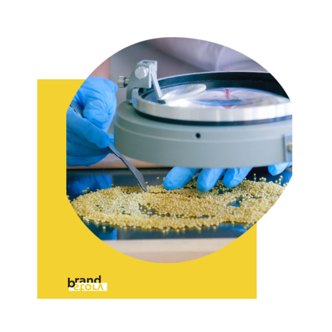 Among the suppliers of raw materials, there are regular partners in organic production (about 10-15 agricultural producers with organic status).