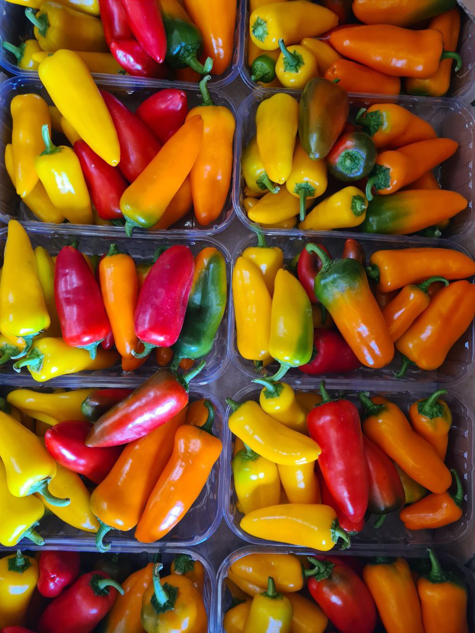 The production is certified by Organic Standard, which confirms its compliance with the requirements for organic production in accordance with the Law of Ukraine and the requirements of organic legislation of other countries.