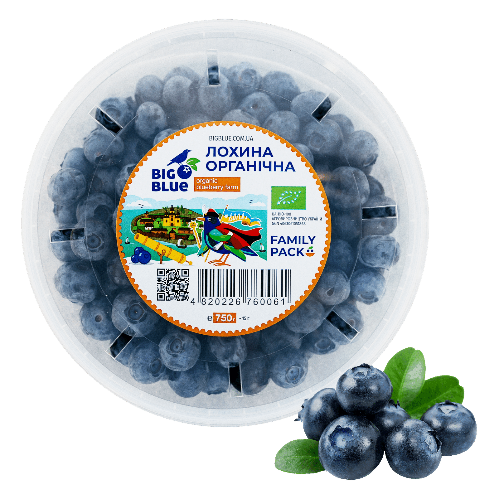 The farm offers 5 varieties of blueberries, and the harvest season lasts from late June to mid-September. The company focuses on the domestic market and exports, and it has also launched berry processing.