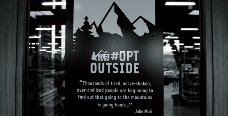 opt-768x391